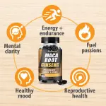 Balincer Maca Root Ginseng Tablets