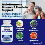 Balincer Men's Daily Multi Vitamin