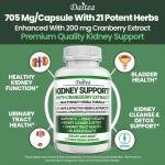 Daitea Kidney Support Capsules
