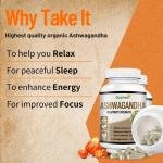 Daynee Ashwagandha Capsules