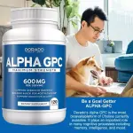 Dorado Nutrition Alpha GPC