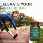 Prominent Resveratrol Root Extract