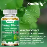 Soomiig Ginkgo Biloba Extract Capsules